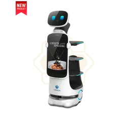 Sena RD 10 250x 250 9 Sena Robotics HolaBot 4