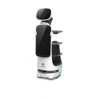 Sena rd 10