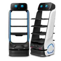 robots para hoteles
